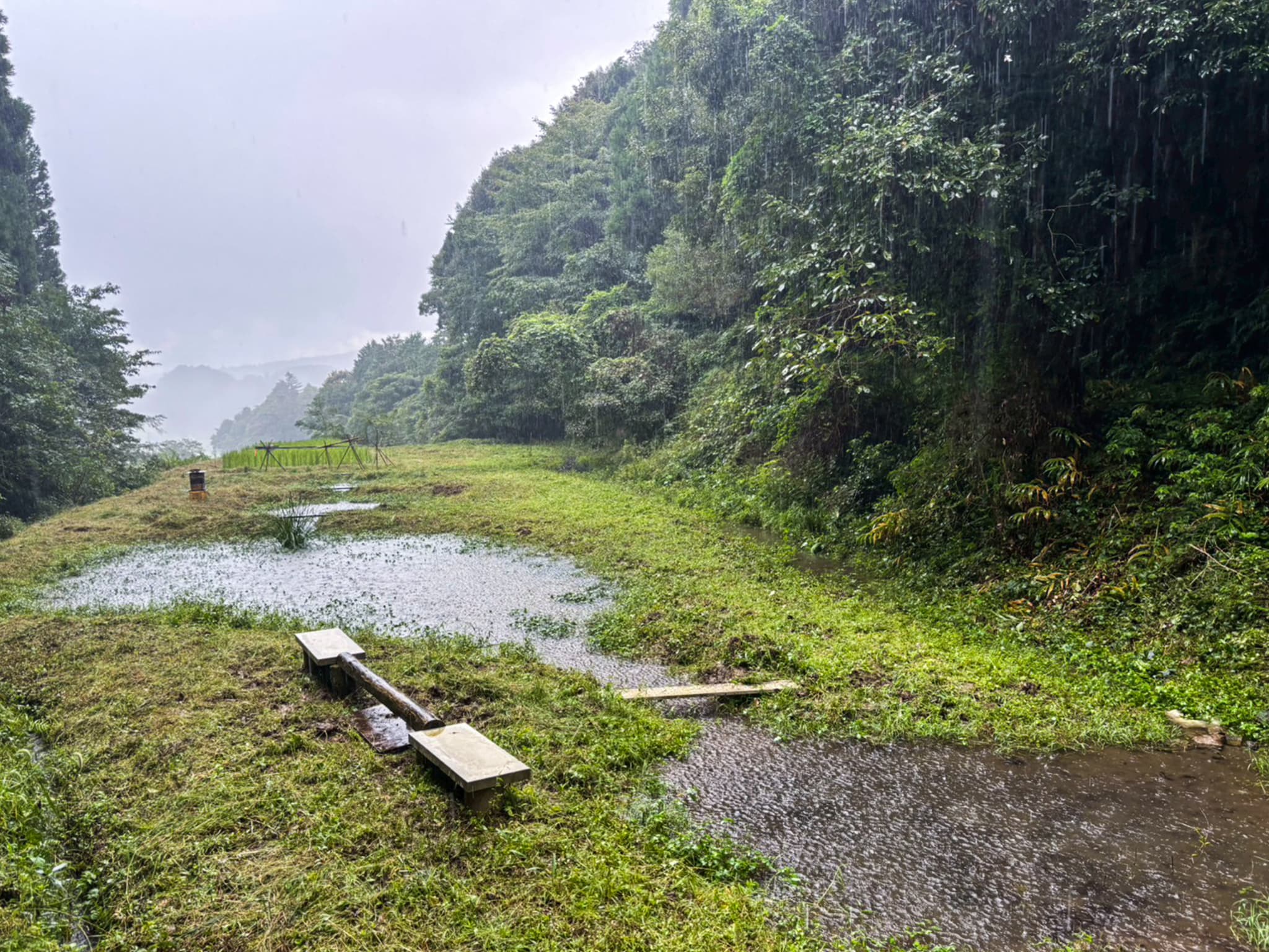 SATOYAMA ビオトープ 見学
