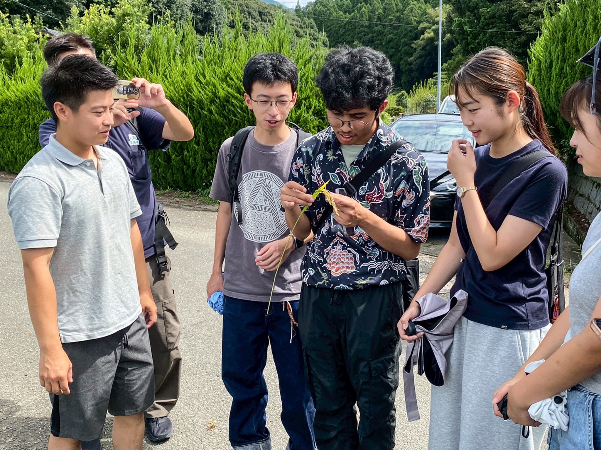 自然共生サイト米