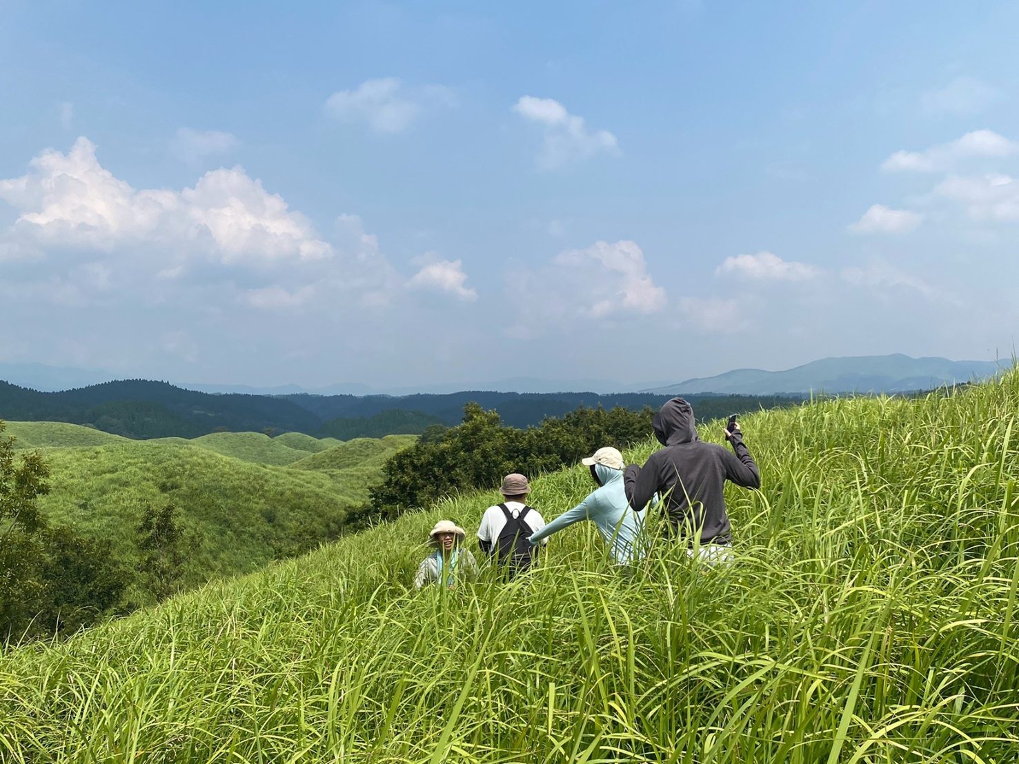 背丈ほどに伸びた草をかき分けて草原の斜面を歩く学生たち