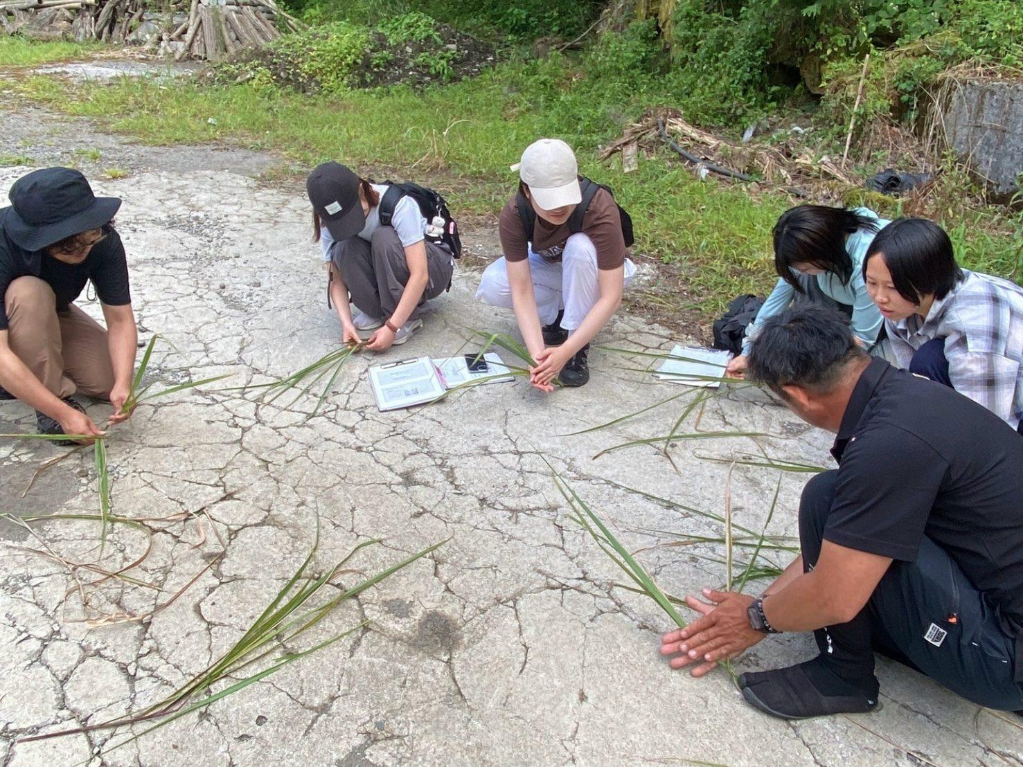 地面に並べた茅の葉を手に取り、扱い方を教わる学生たち