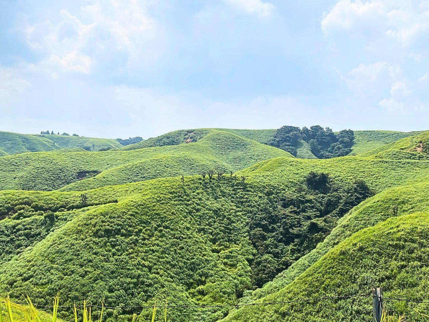 見渡すかぎり緑の草原がうねるように広がる、夏の阿蘇の牧野の風景