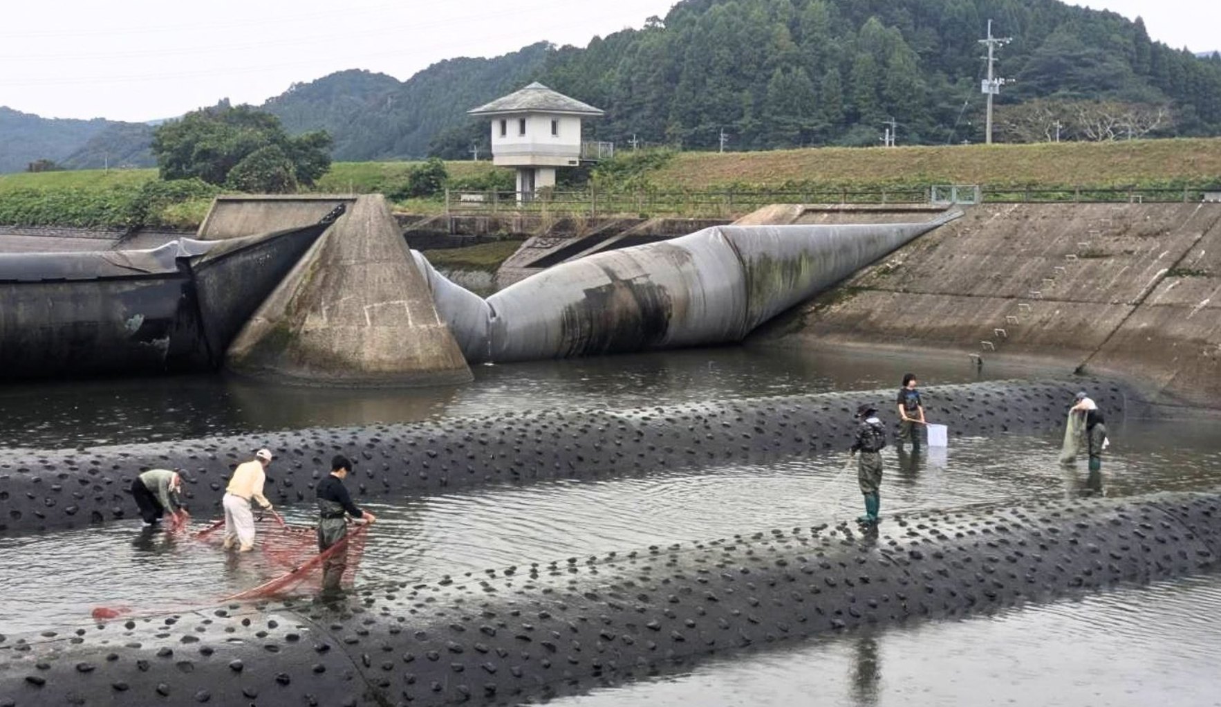 People using nets to survey fish and other aquatic life at the Yokomakura weir, with mountains behind