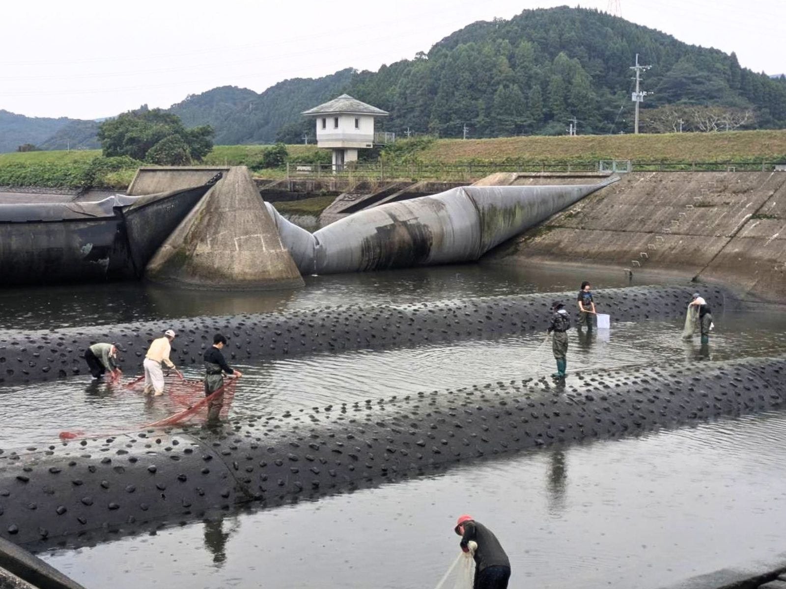 水位を落とした横枕の井堰で、タモ網を手に川の中を調べる人たち。奥には山並みと水門の建物