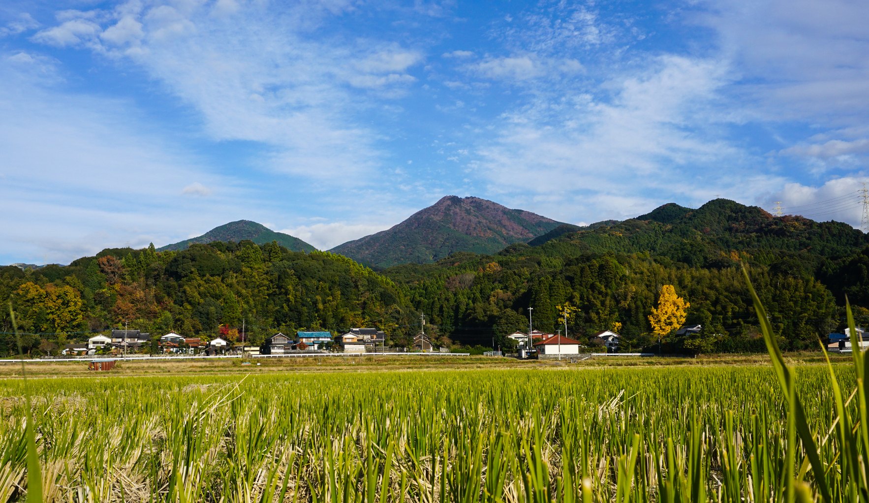 Rice fields and hills at the Yokomakura site in Ouchi-machi, Karatsu, Saga