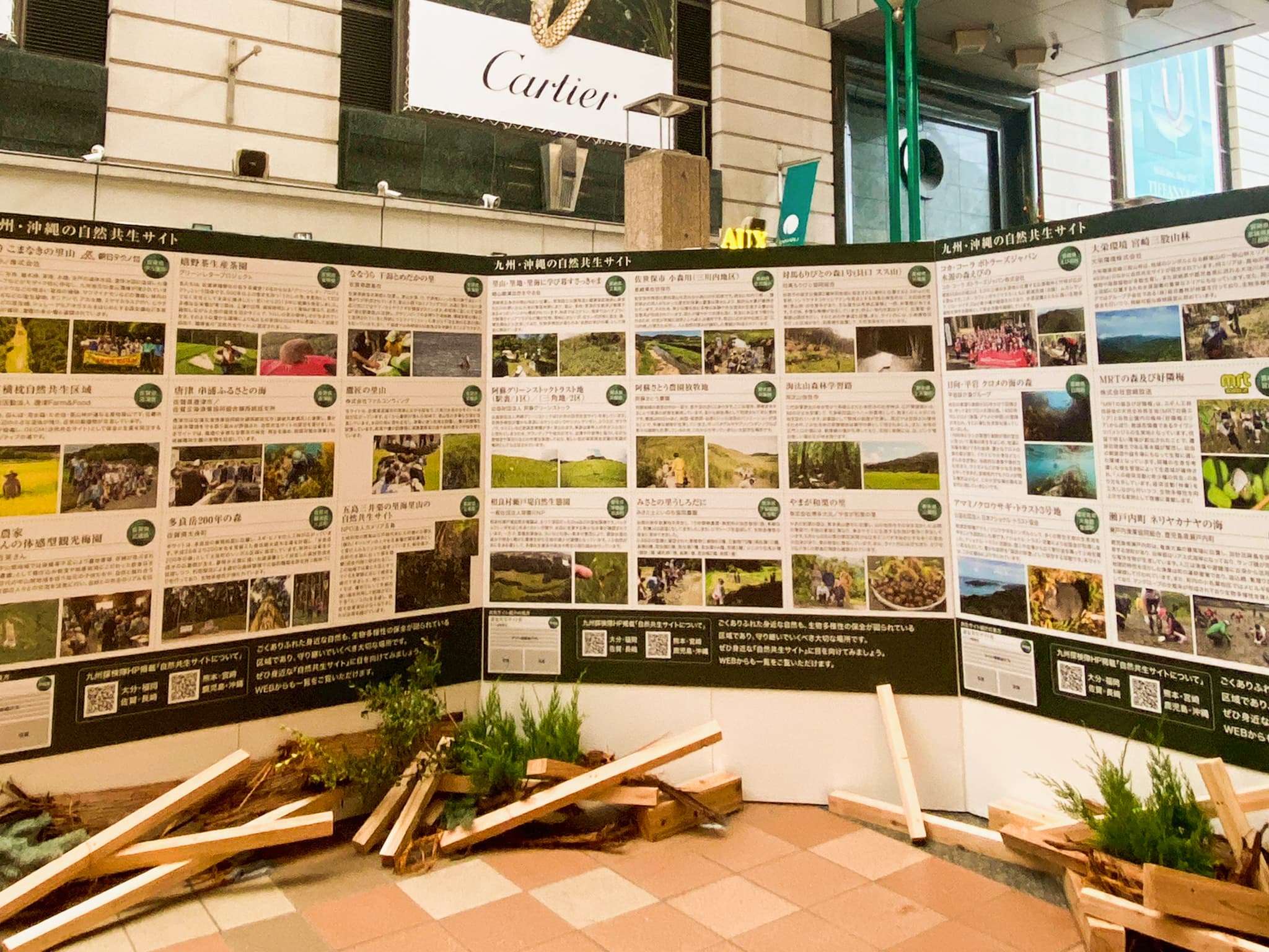 大丸福岡天神店 ネイチャーポジティブクリスマス