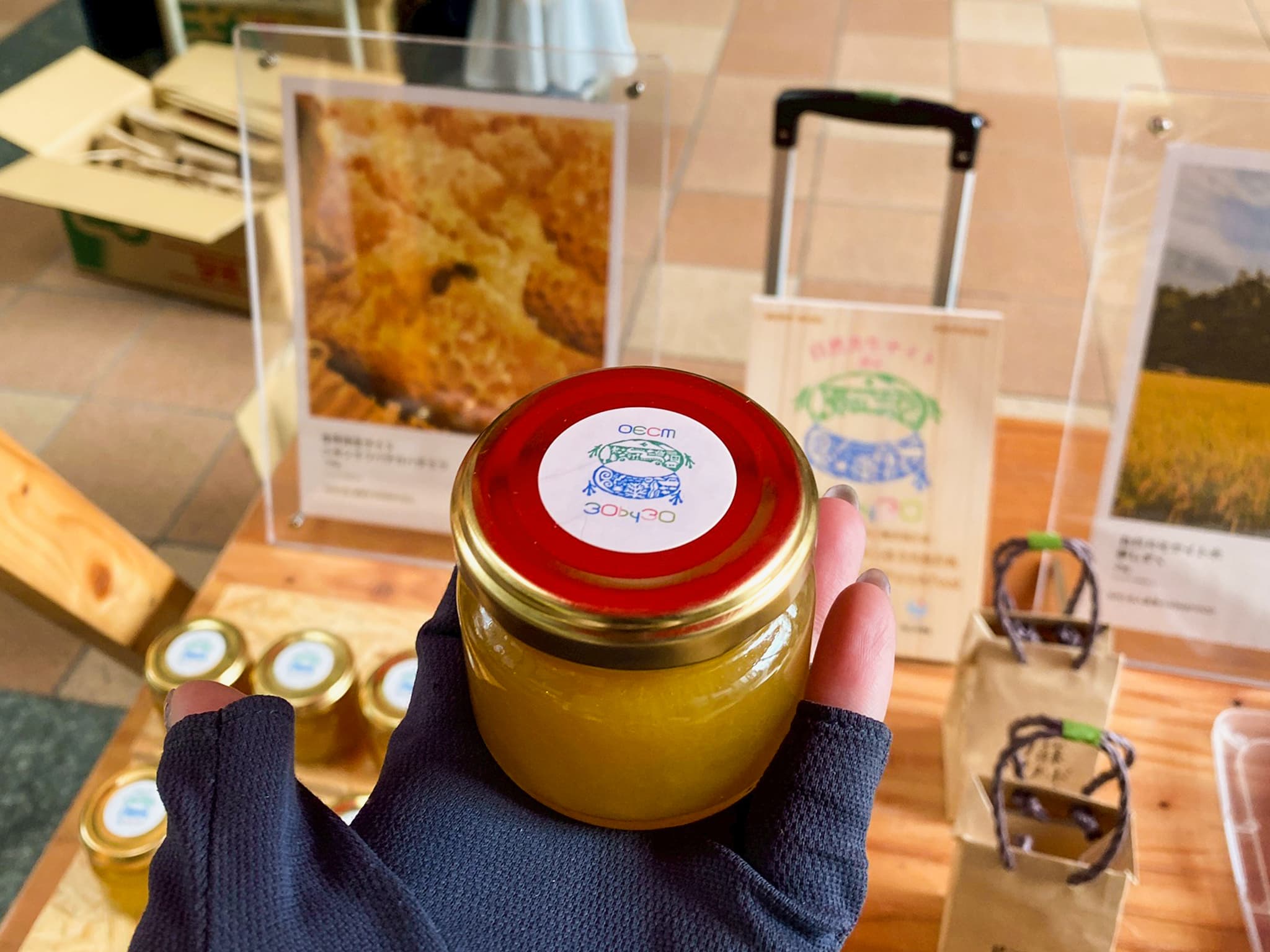 ニホンミツバチ