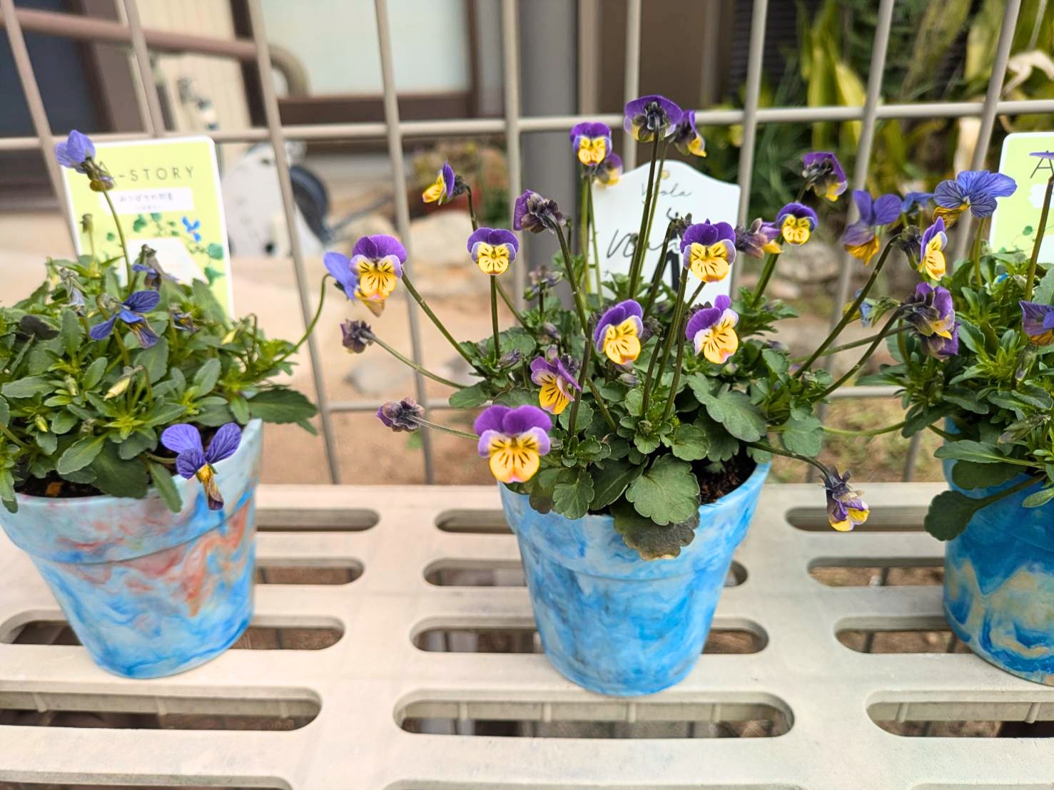 廃プラスチックを資源として循環させ植物を育てる器へ