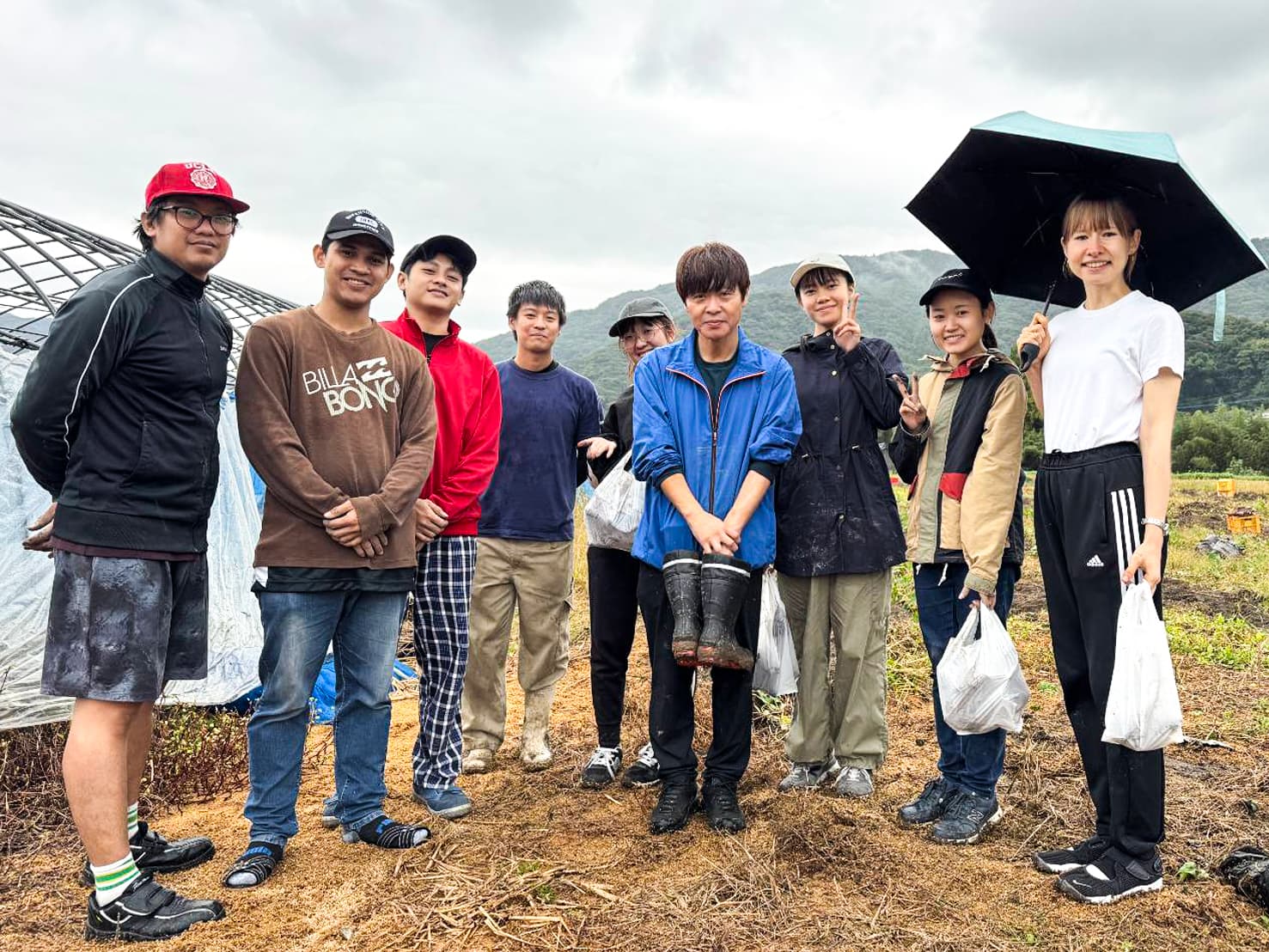 横枕農園 紅はるか収穫