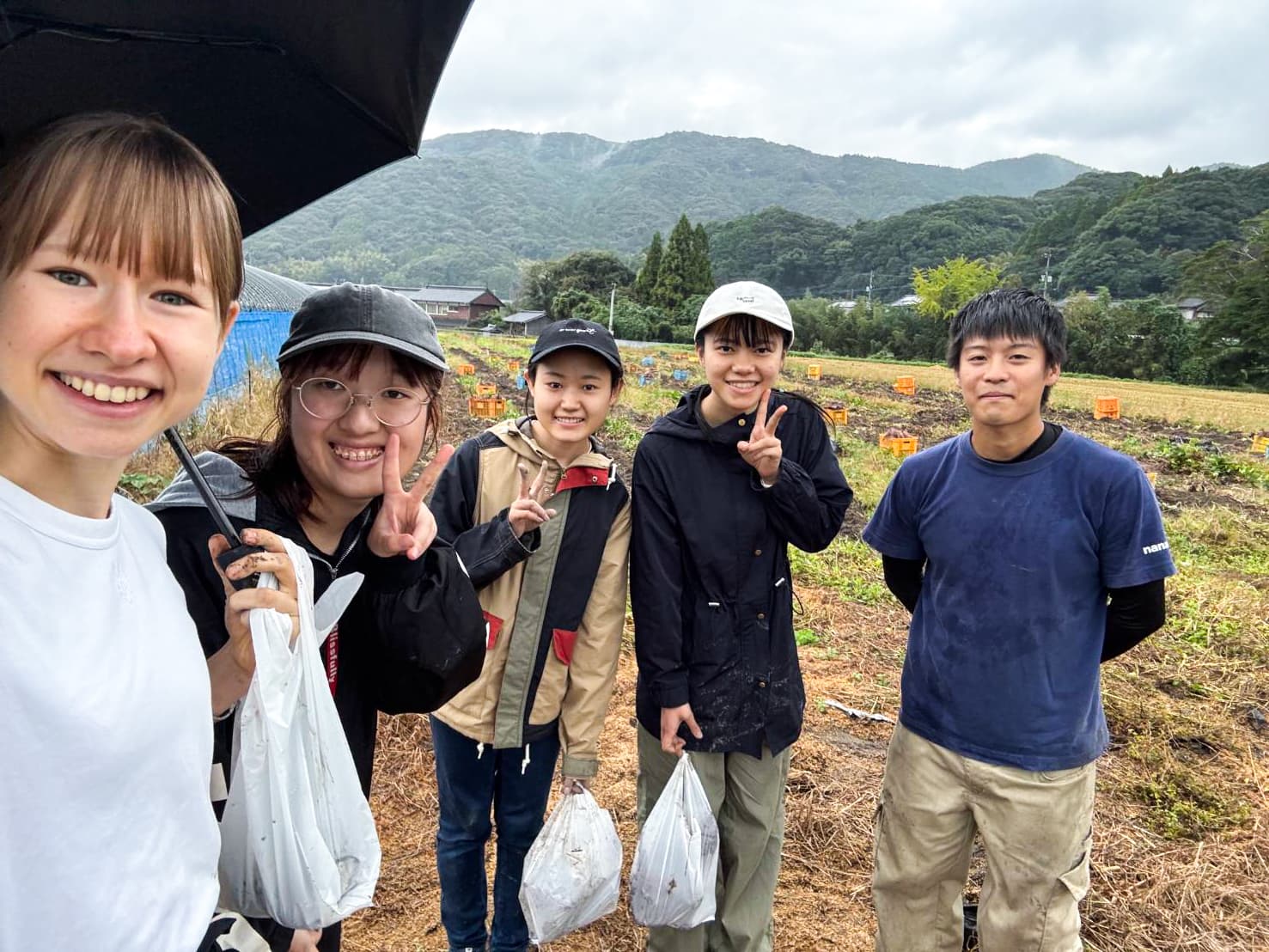 九州大学 ボランティア 収穫体験