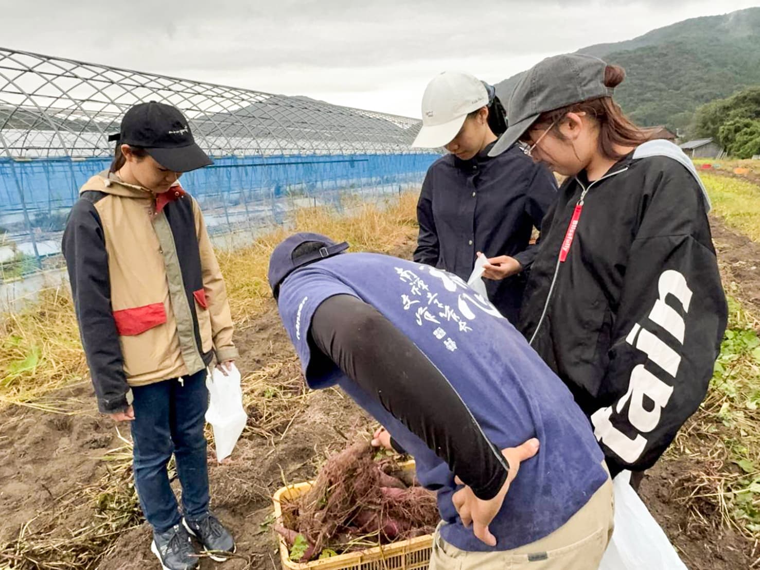 自然共生サイト 農作業体験