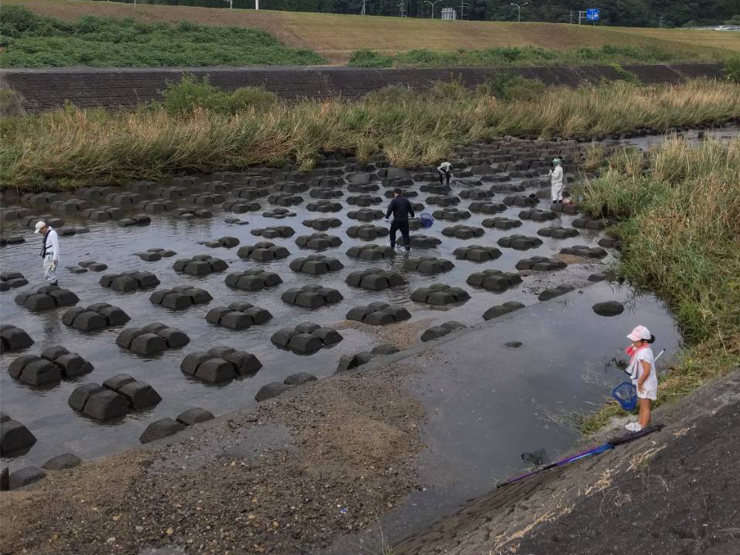 生物多様性