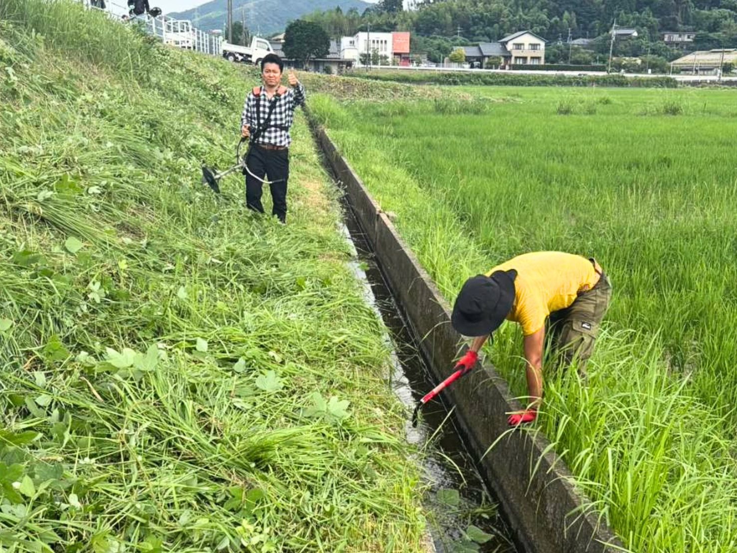 刈り終えたばかりの土手と、水路にたまった刈り草をかき出すメンバー