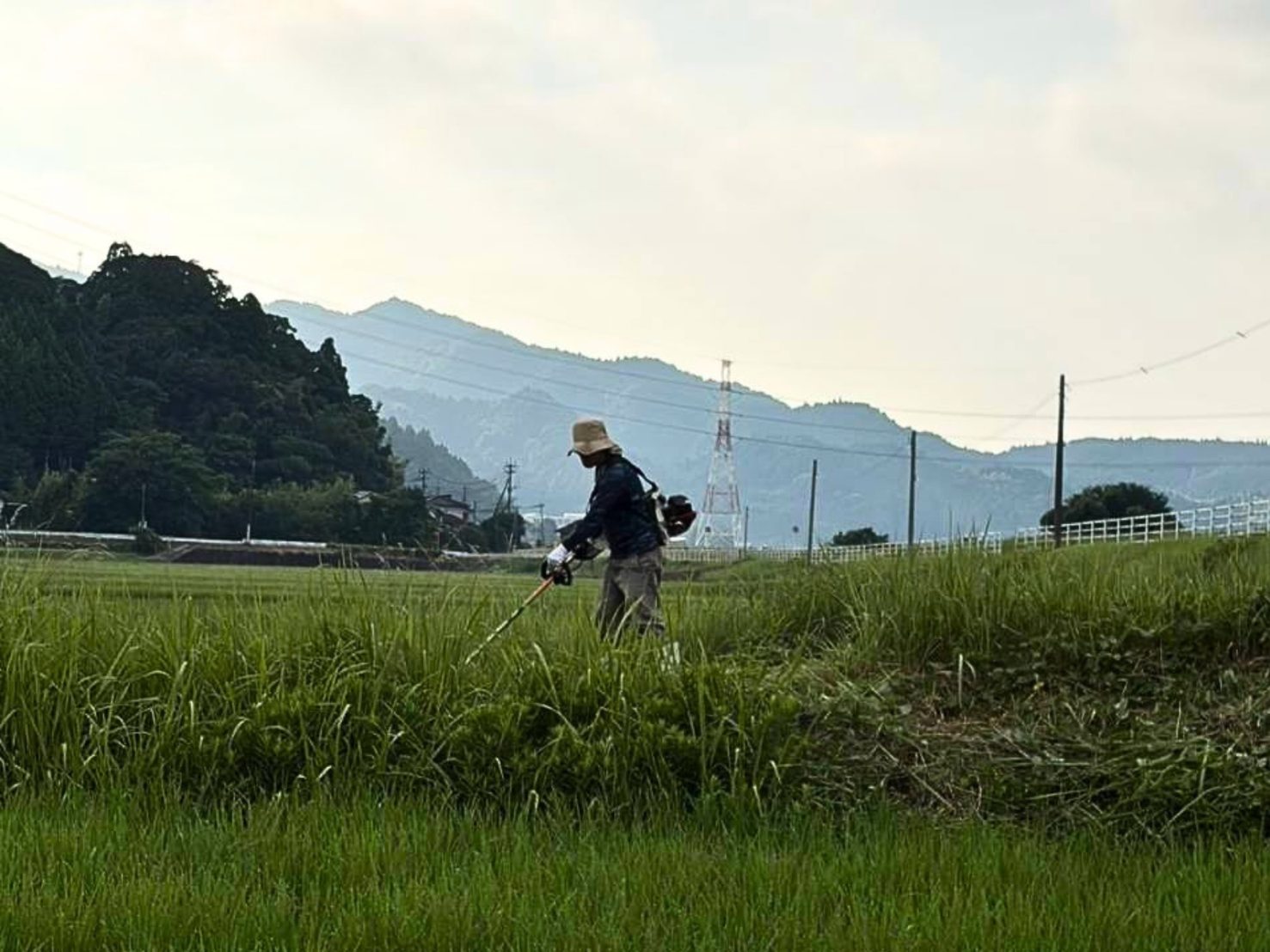 山並みを背に、刈払機で草地を刈り進めるメンバー