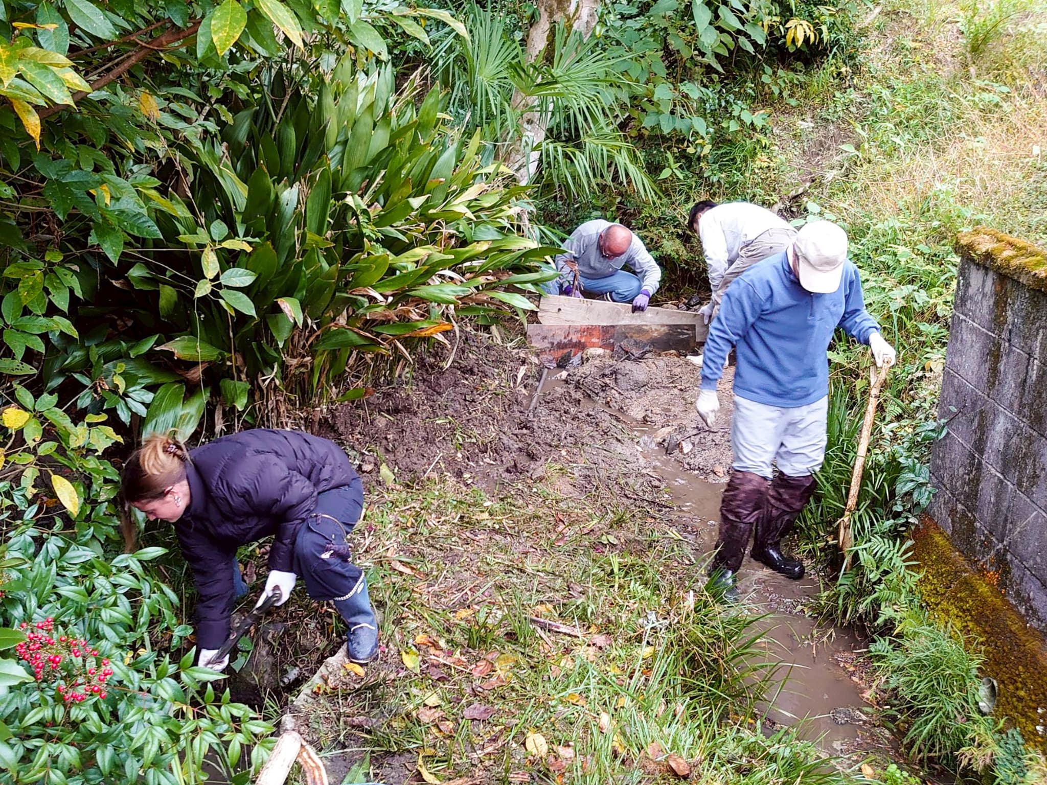 横枕自然共生サイト サンショウウオ生息地の保全活動