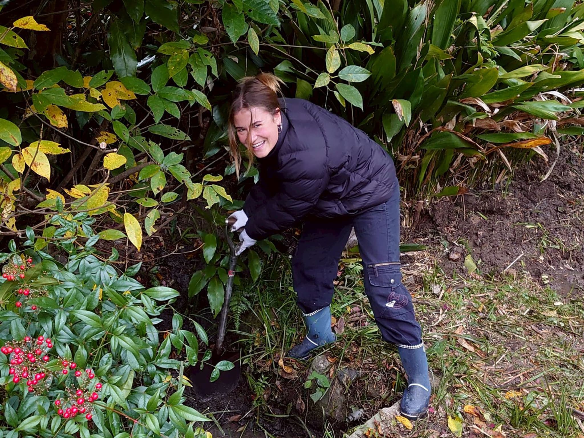 自然共生サイトでの農業ボランティア