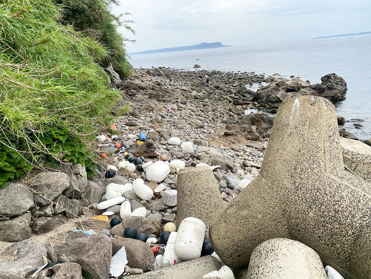 海洋プラスチックゴミ