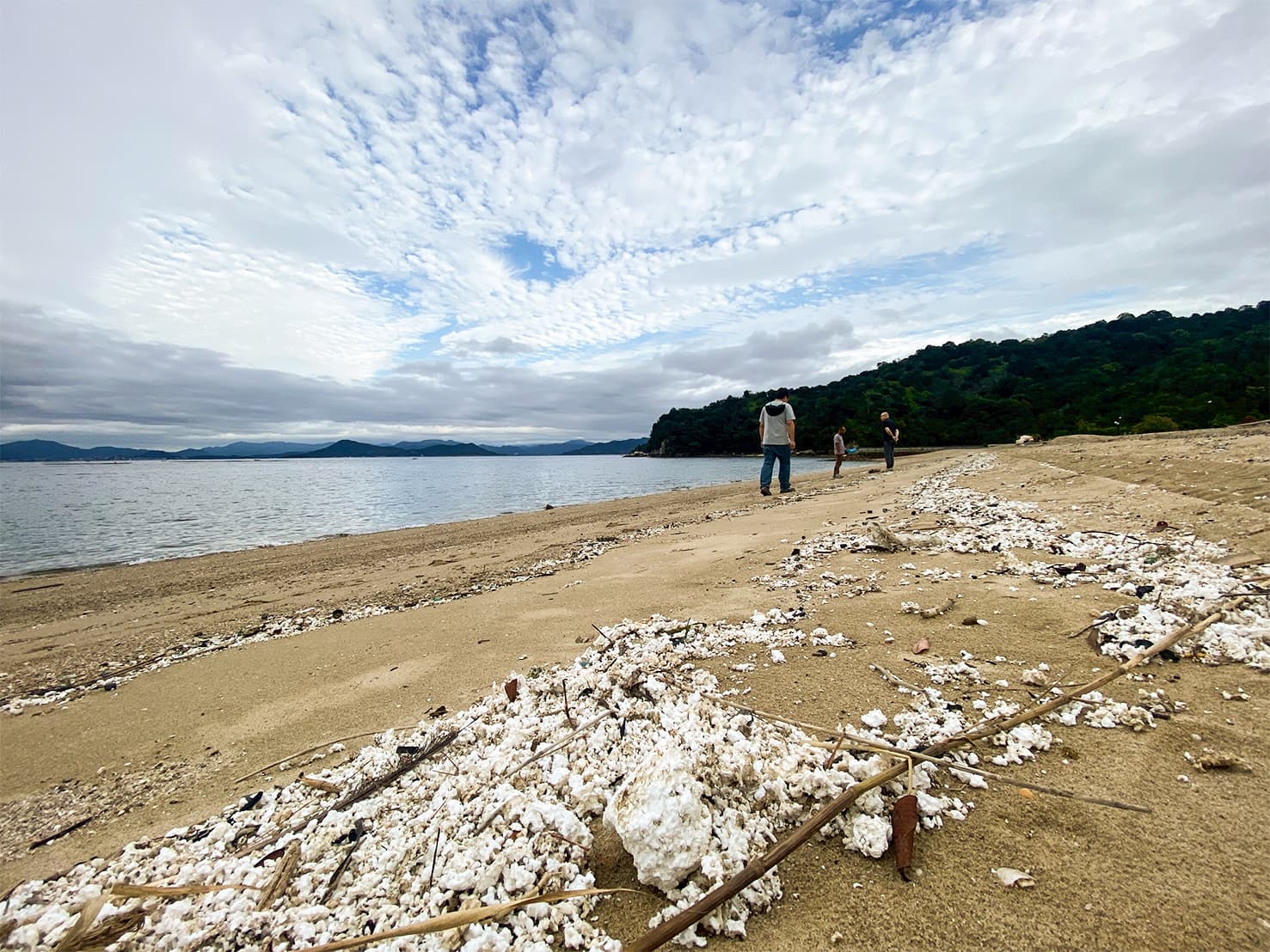 宮島ビーチクリーン