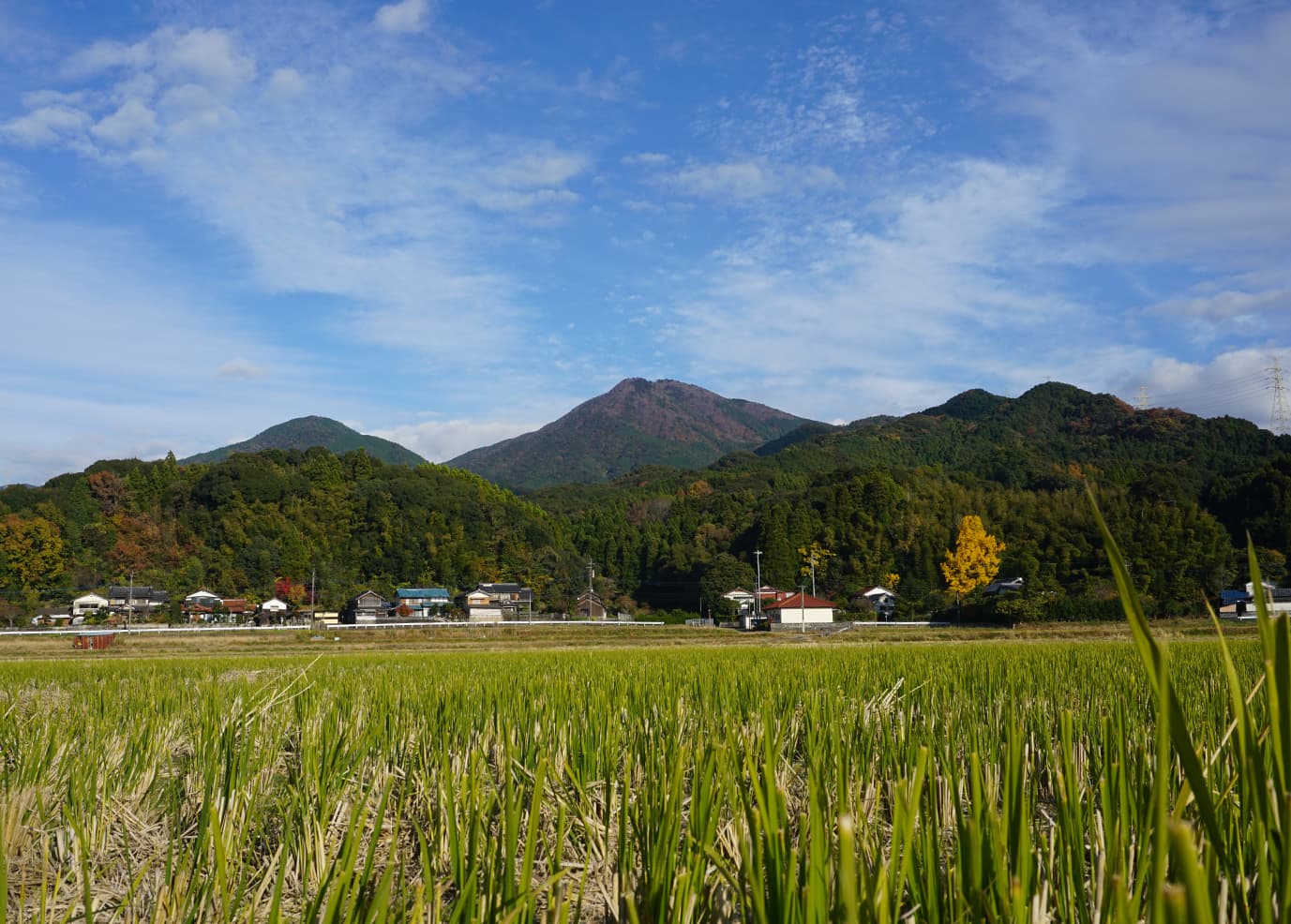自然共生サイト