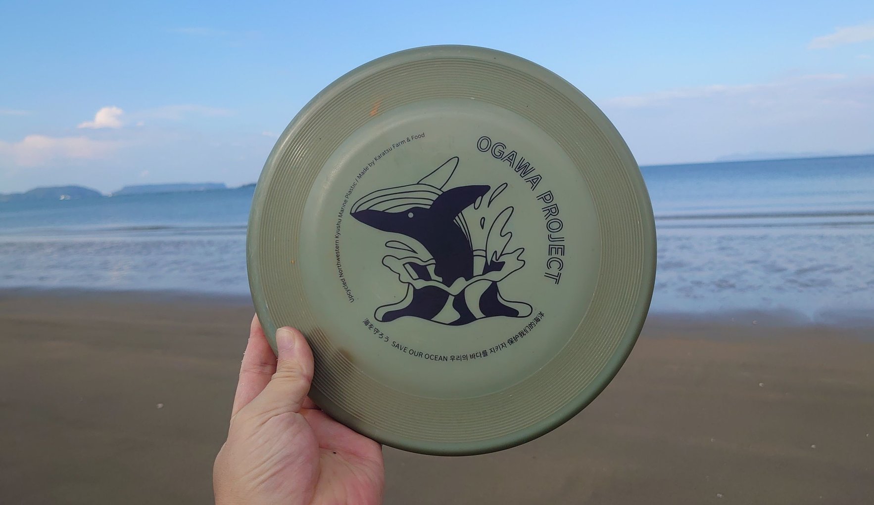 OGAWA PROJECT フライングディスク SILENT WORLD GREEN - 唐津の浜で海と島を背景にかざした、クジラの絵が入った深い緑のディスク