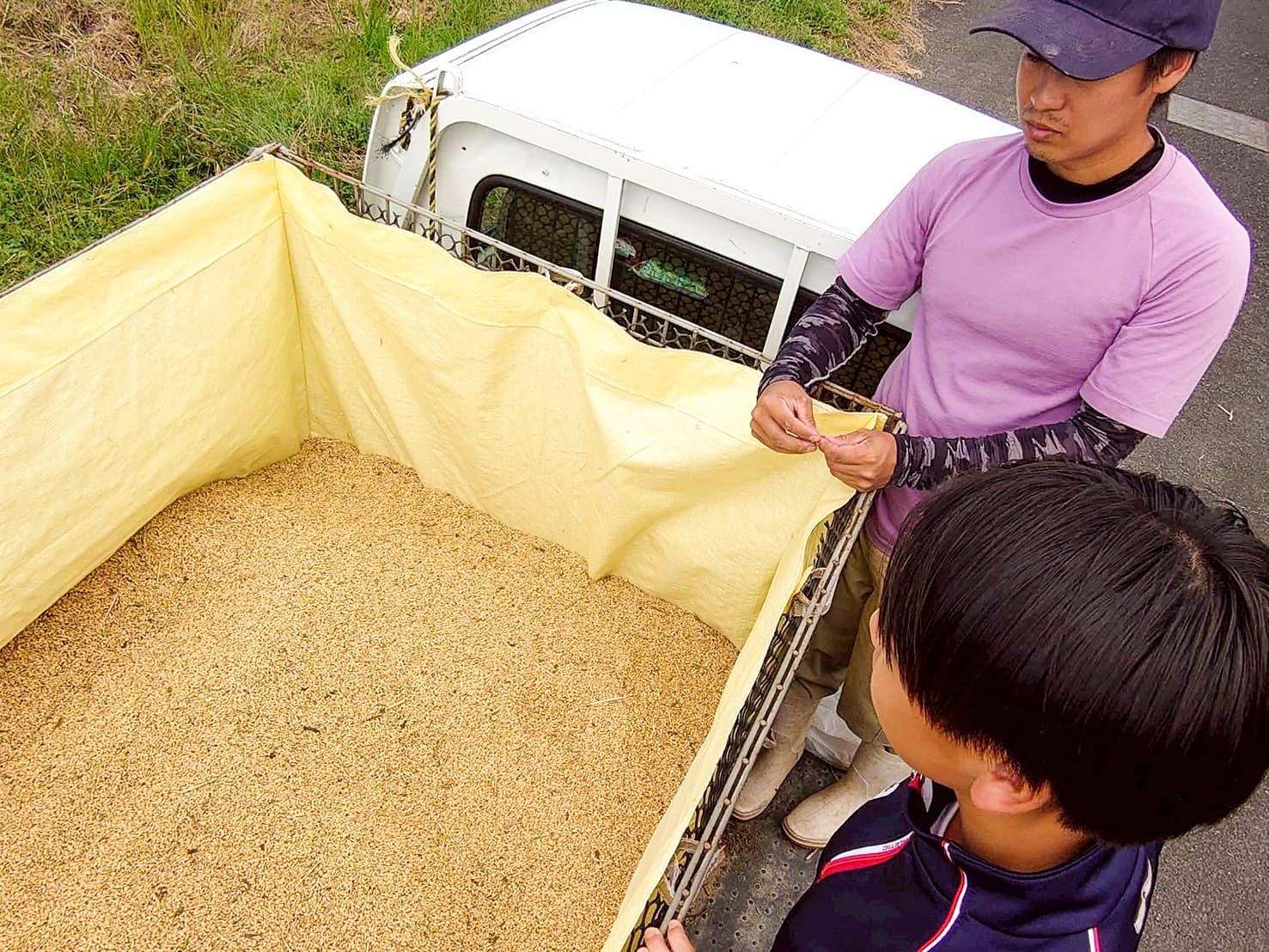 自然共生サイト米の視察