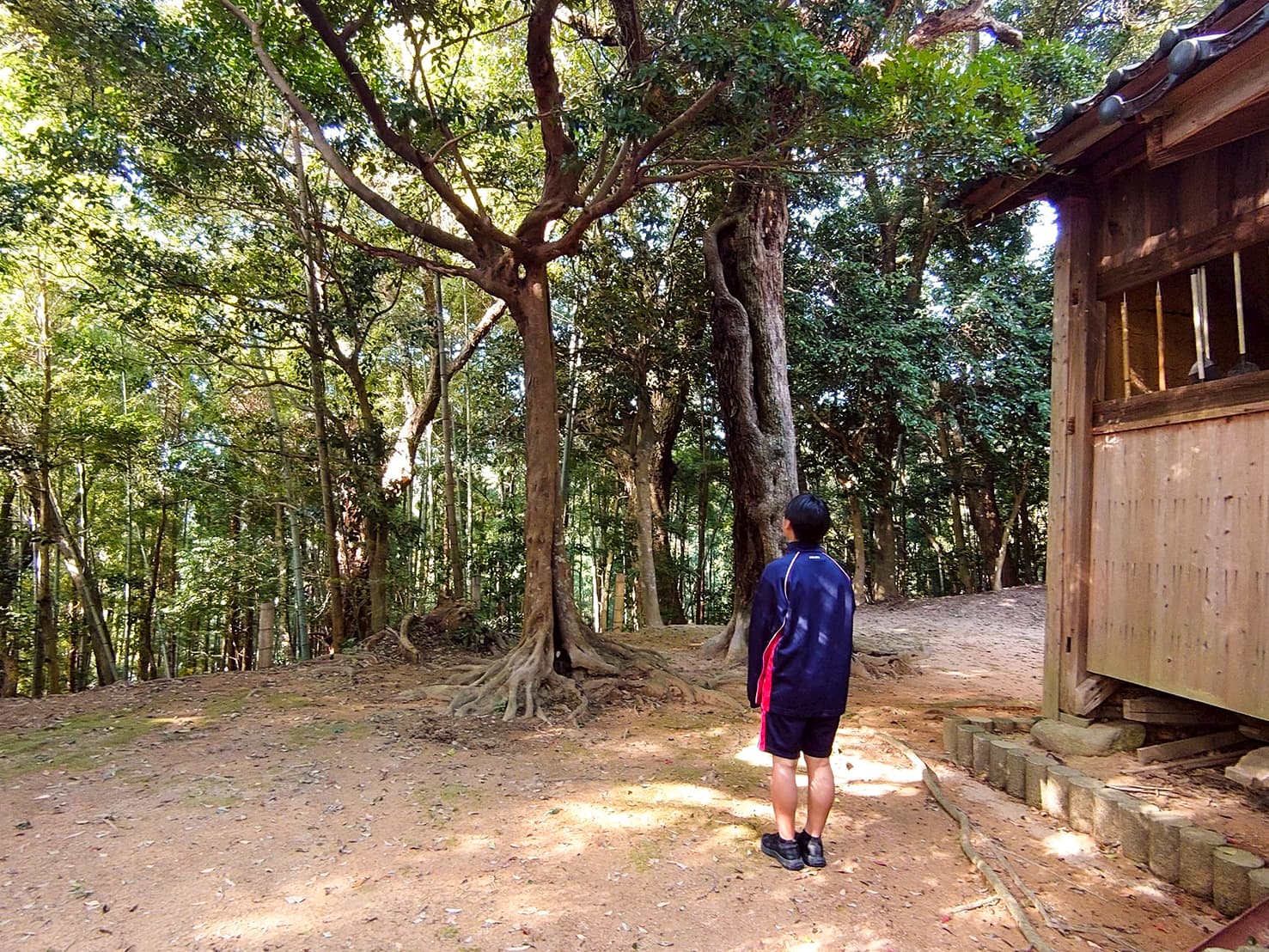 自然共生サイト横枕の視察
