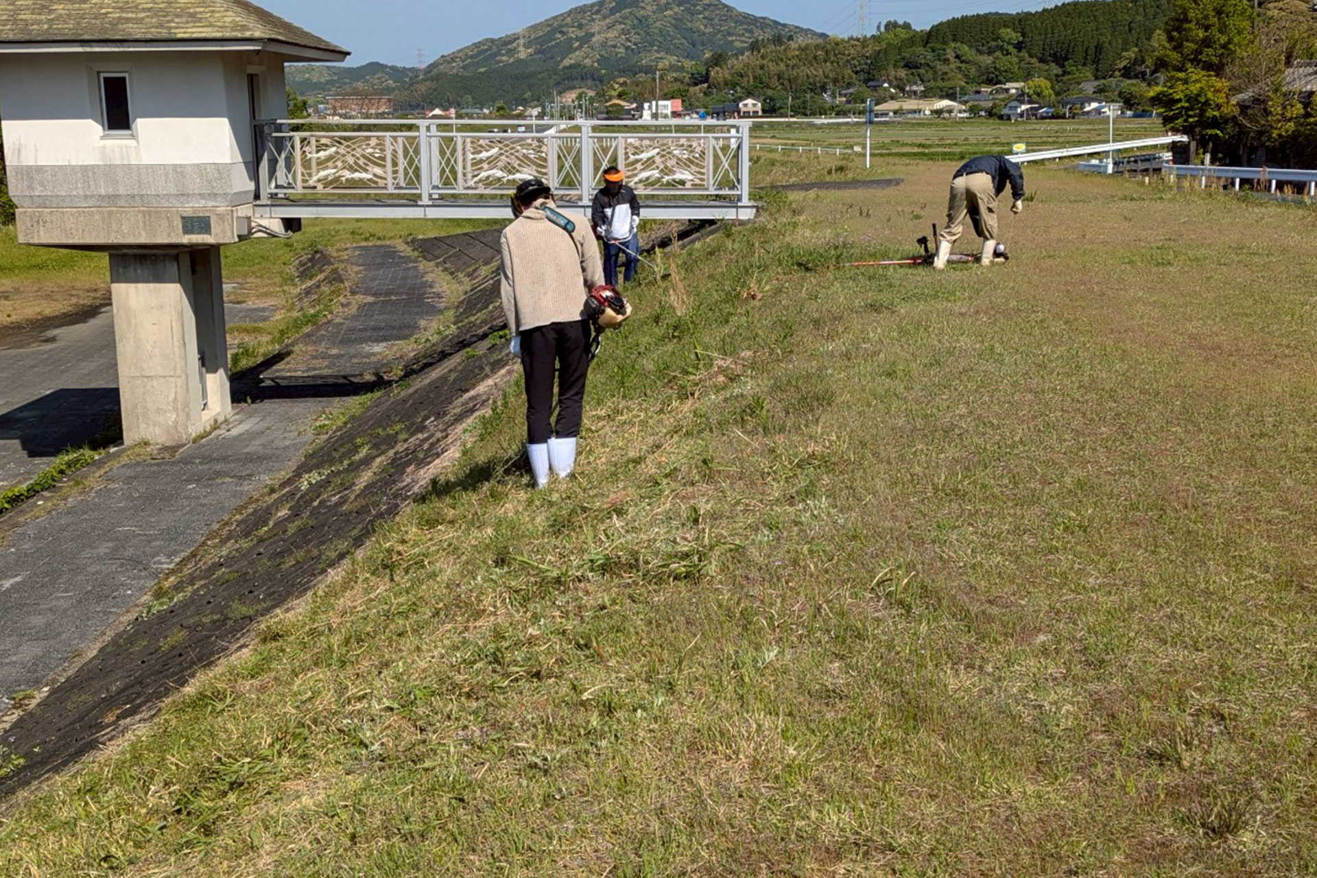 自然共生サイト 草刈り