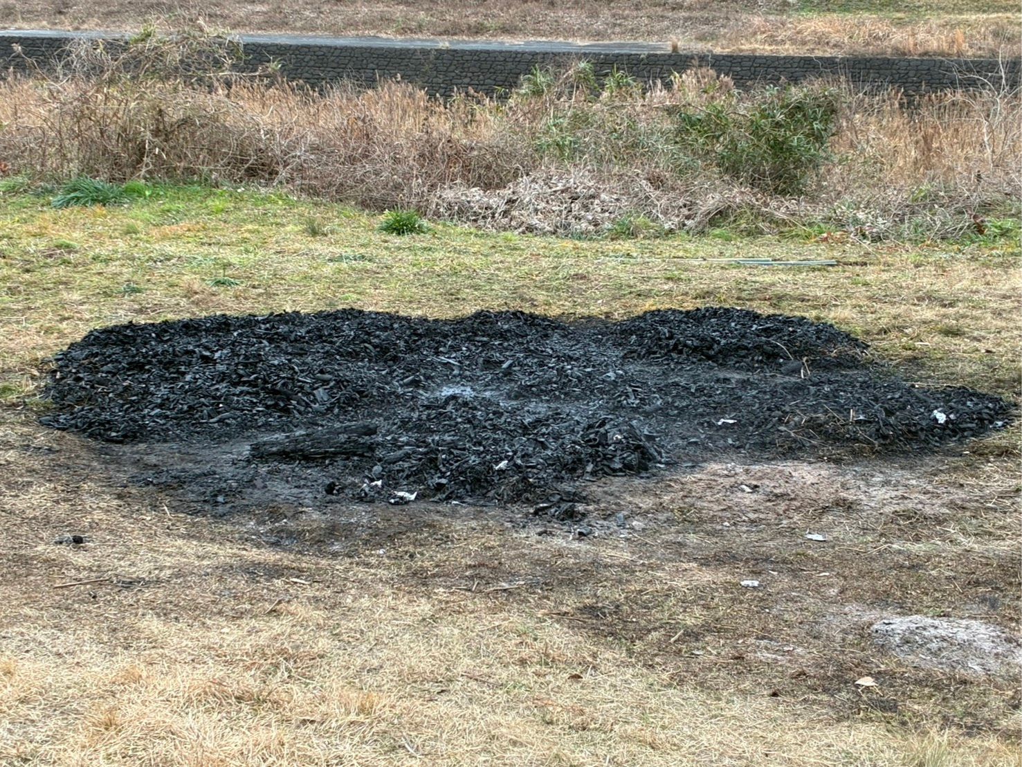 鬼火焚きで竹炭をつくる試み 横枕