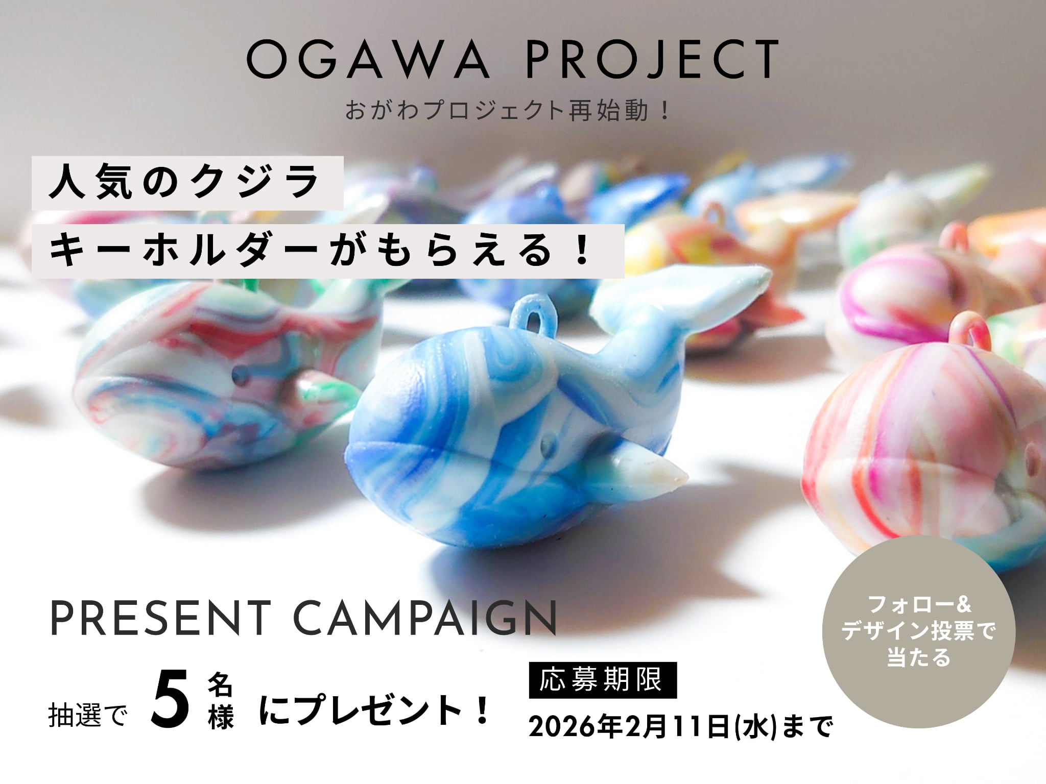 おがわプロジェクト デザイン投票キャンペーン