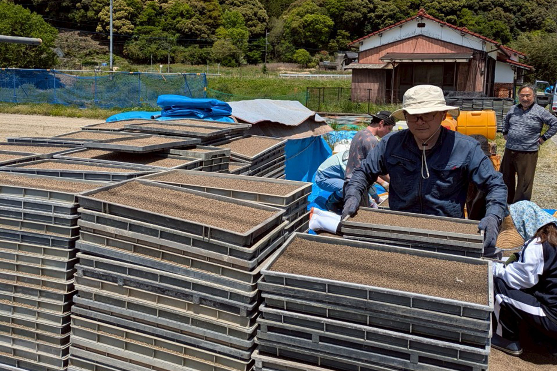 自然共生サイト 里山