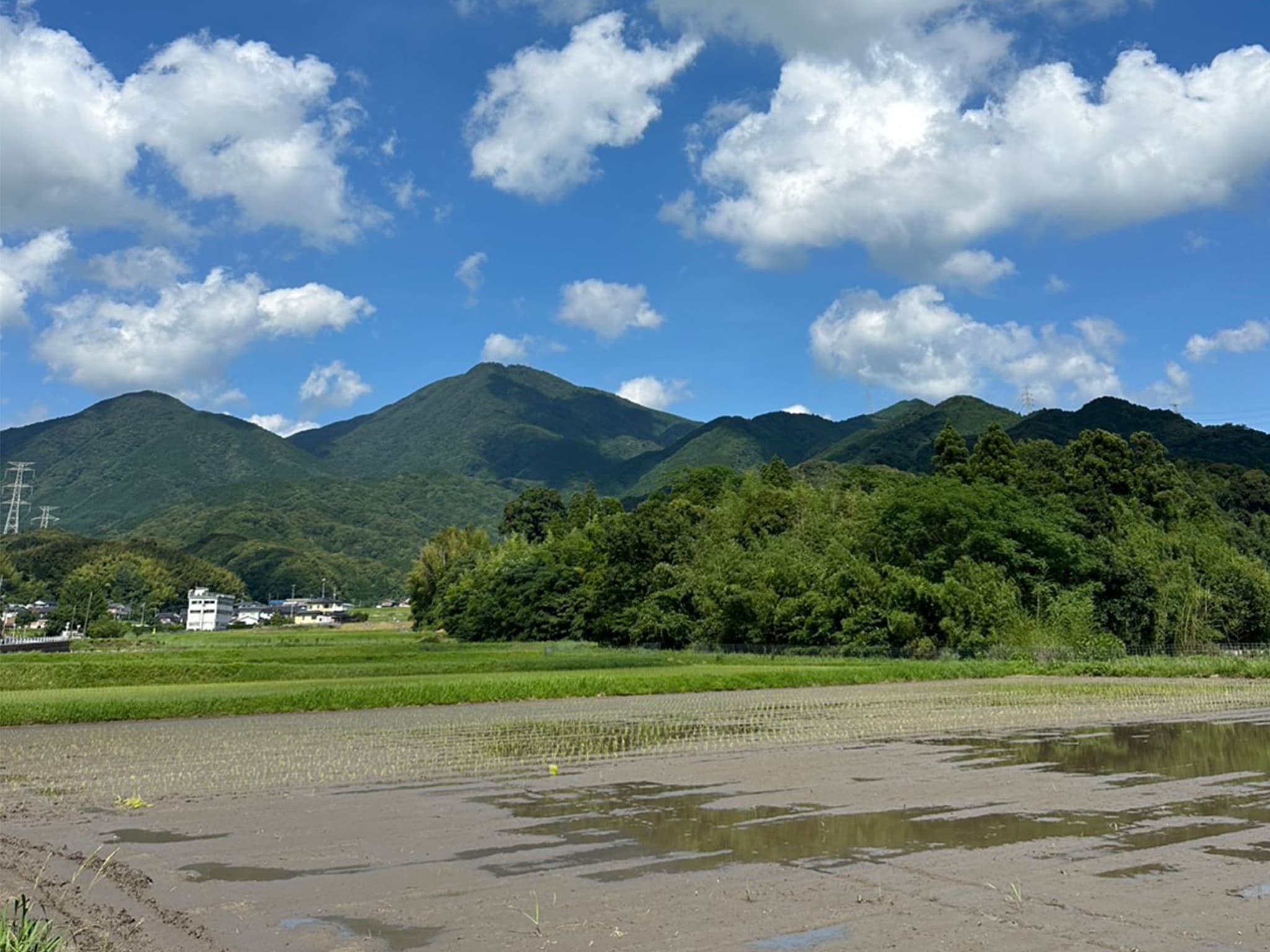 自然共生サイト 米