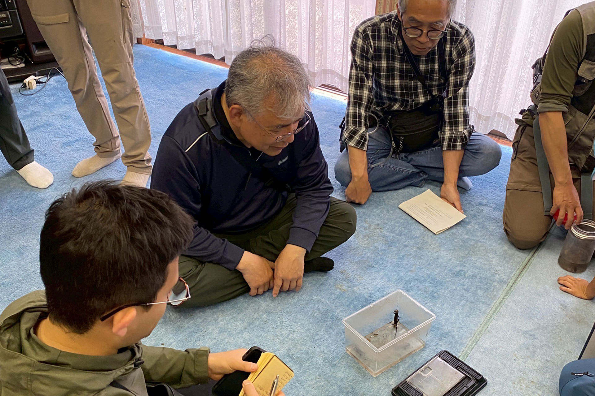 ネイチャーポジティブ