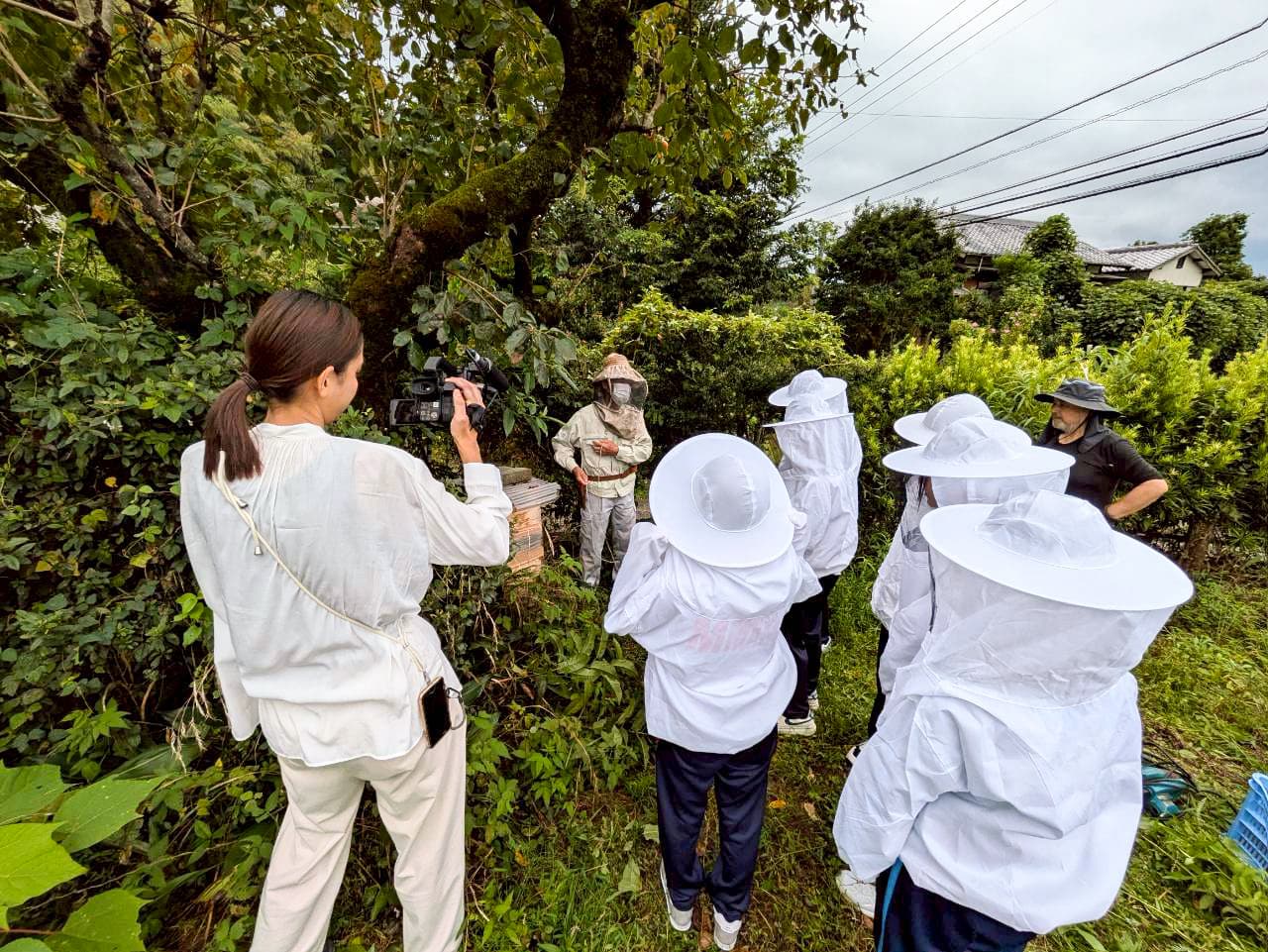 唐津ミツバチプロジェクト 採蜜