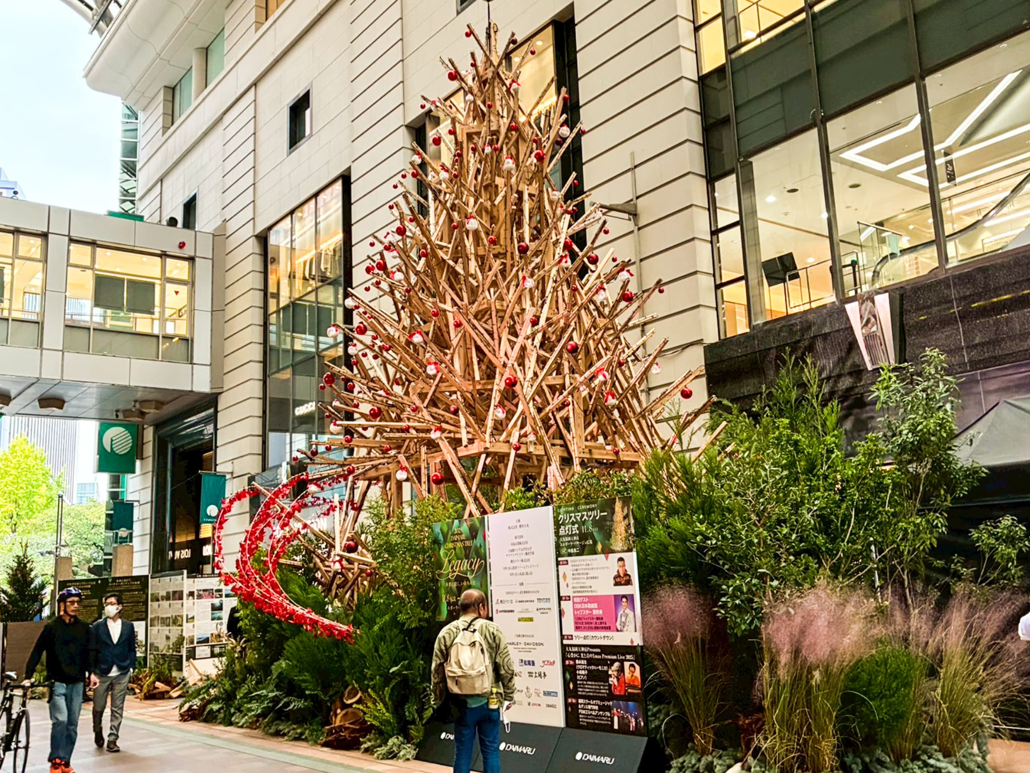 自然共生サイト 間伐材 クリスマスツリー