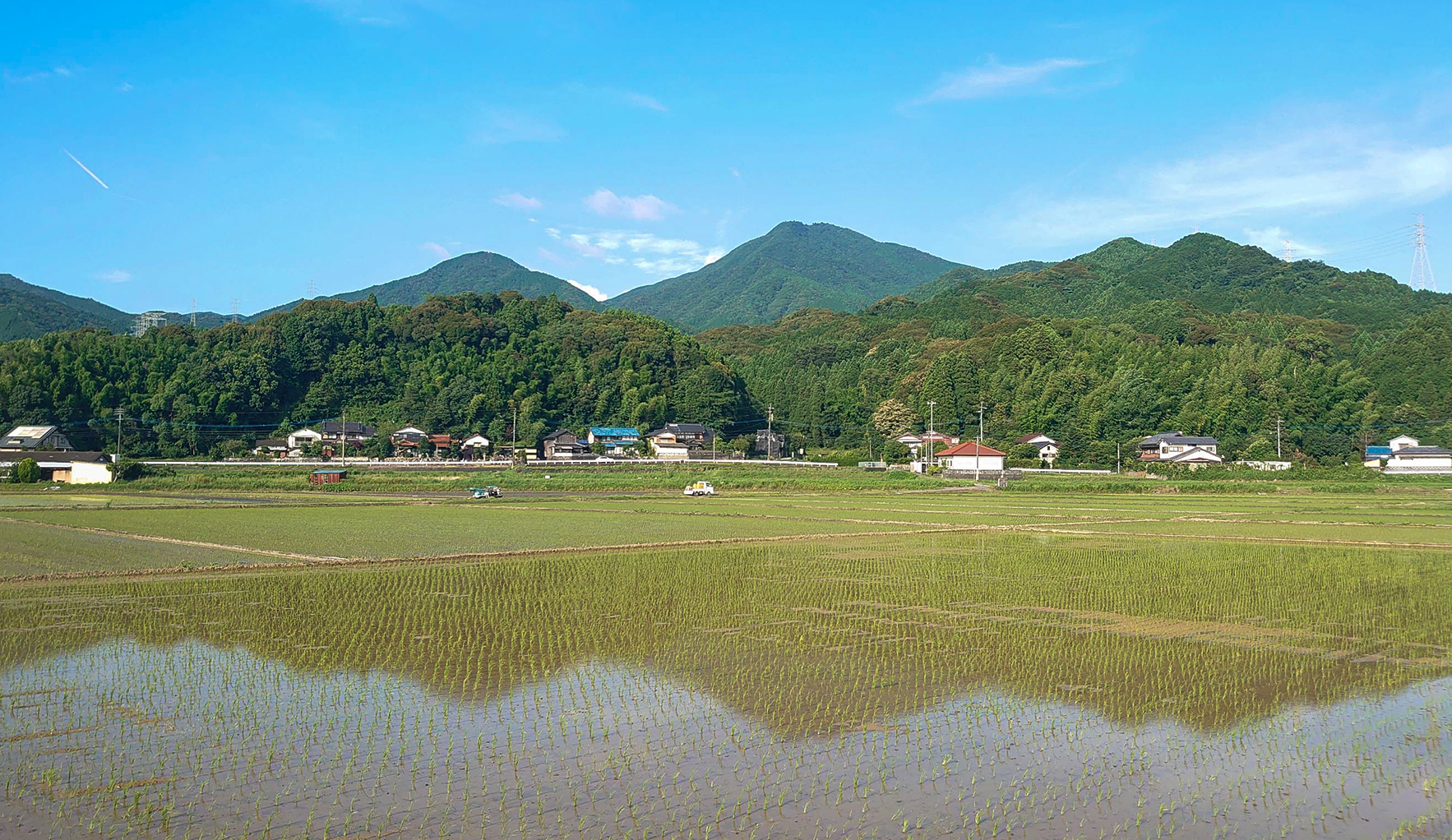 水をはった横枕の田んぼと里山（相知町横枕自然共生区域）