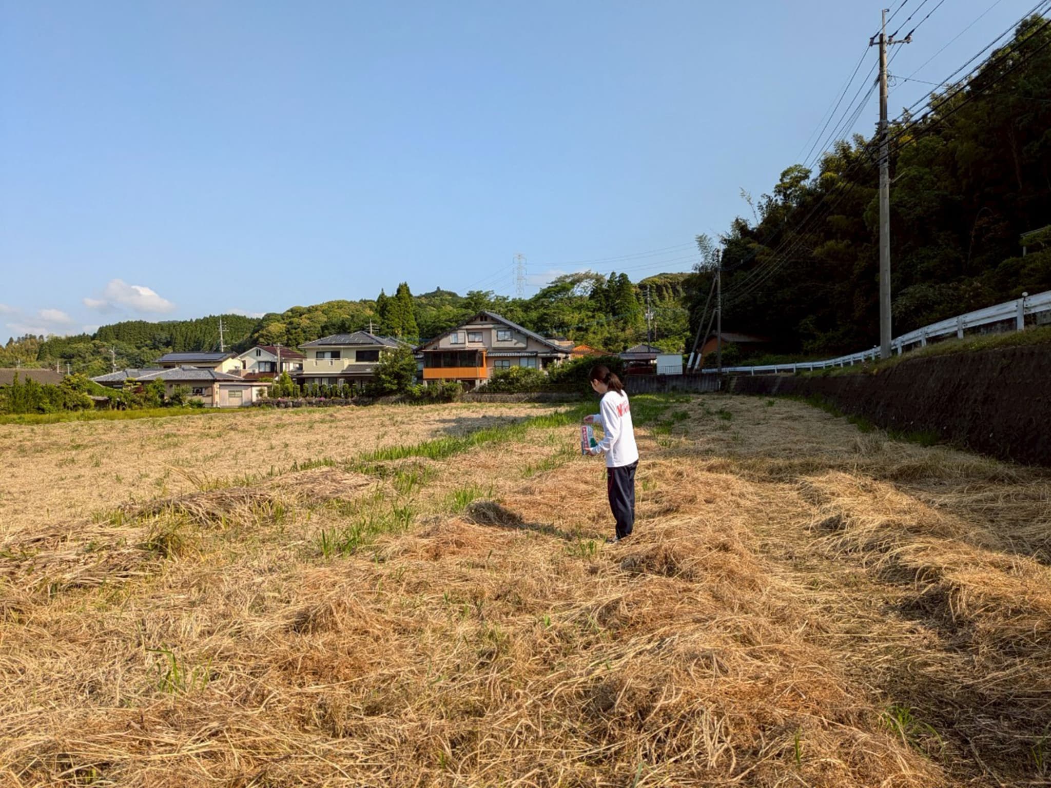ネイチャーポジティブ