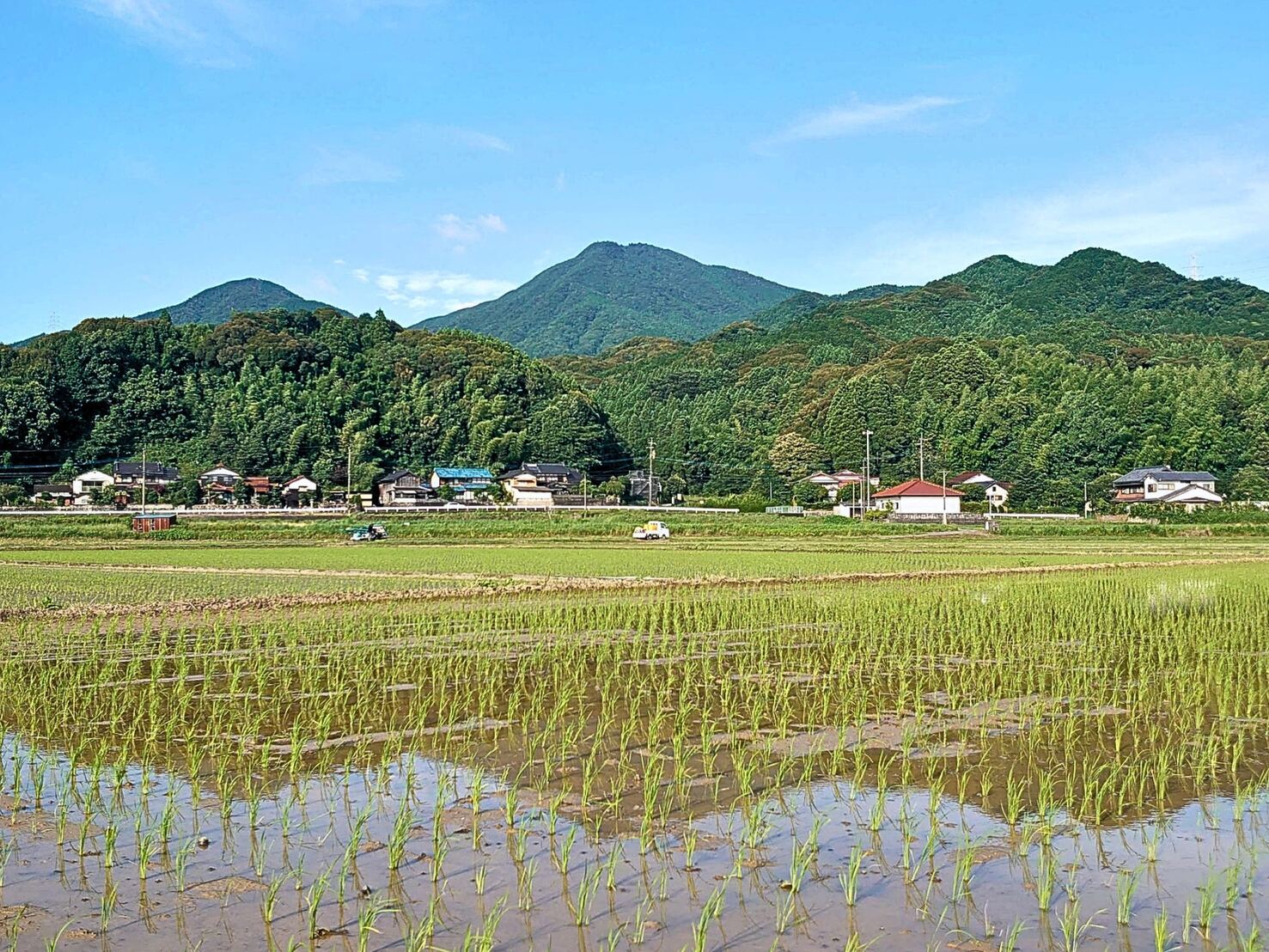 水がはった横枕の田んぼの水面に、青空と里山がうつりこみ、植えたばかりの苗が並ぶ（相知町横枕自然共生区域）