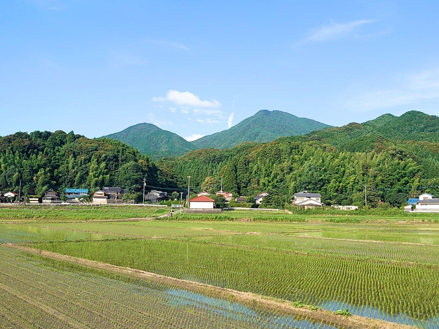 横枕の田んぼ越しに見える里山と集落。田には水がはられ、苗が並ぶ