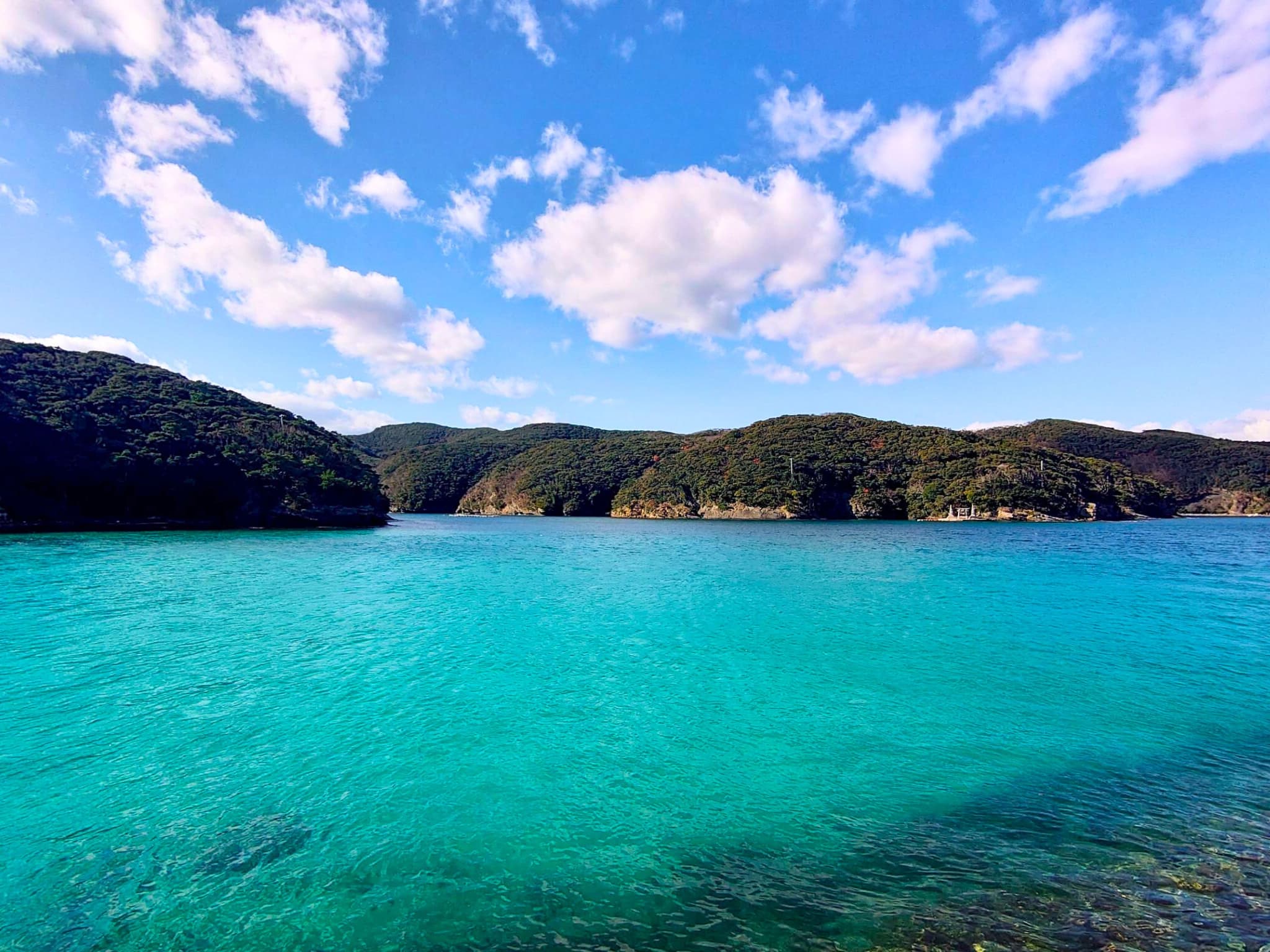 対馬未来フォーラム集合写真