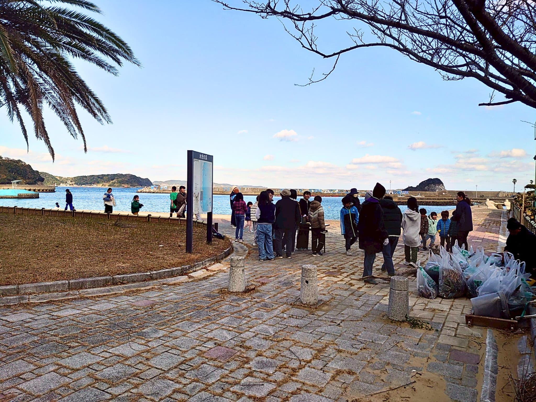 回収したごみを分別・記録する様子