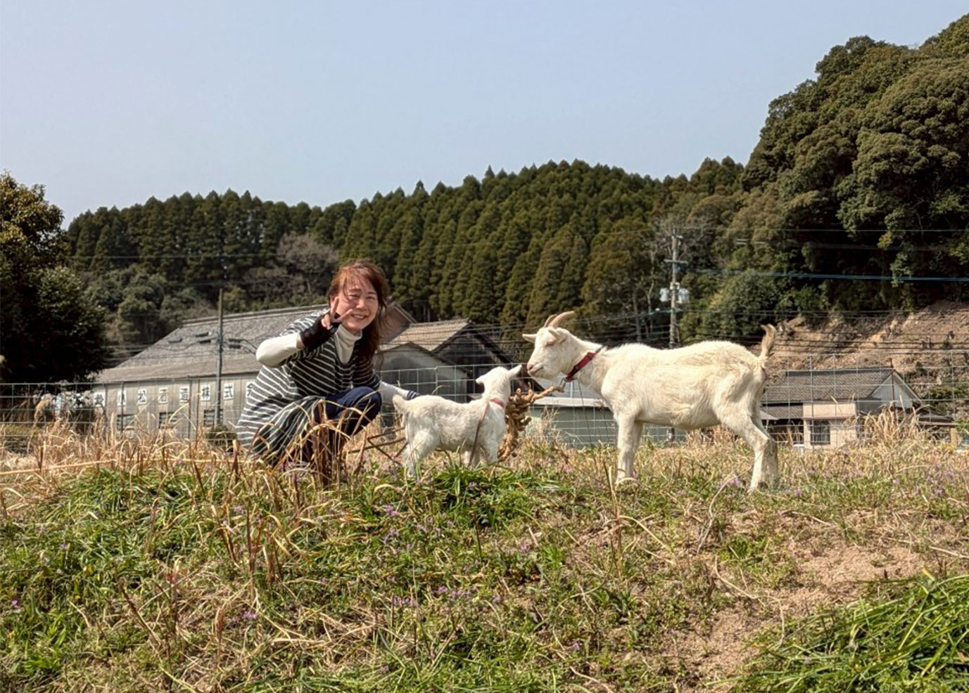 ネイチャーポジティブ