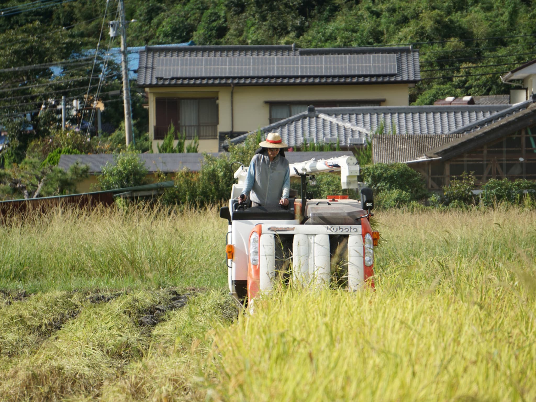 自然共生サイト メリット	